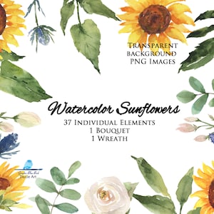 Aquarell Sonnenblumen Einzelelemente, Sonnenblumen, Grün, Babyatm, Weiße Rosen, Blaue Blume, Sonnenblume Hochzeit