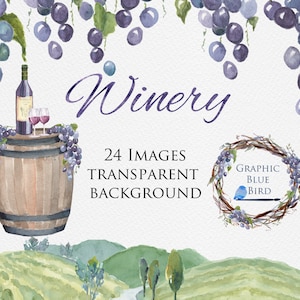 Wijnmakerij en wijngaard aquarel clip art set, inclusief wijnfles, wijnglas, aquarel achtergrond, Grapevine Topper Design, krans