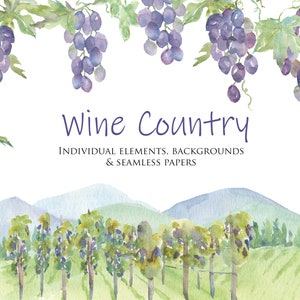 Wine Country Clipart Design Kit, Winery & Vineyard Watercolor Clipart, Bottiglie di vino, Bicchieri da vino, Carte senza cuciture, Sfondi vigneto