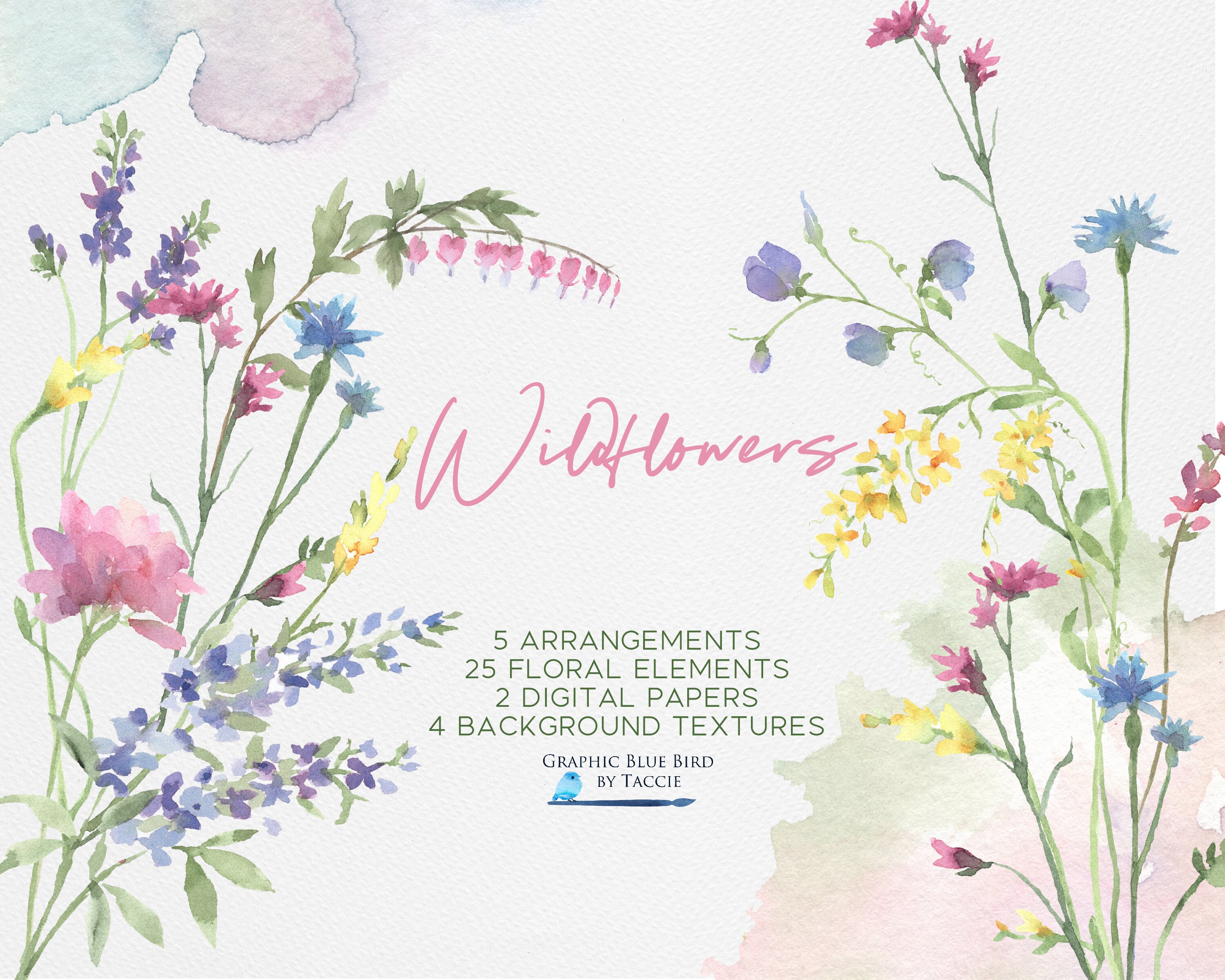 Wildflowers, Organic Branding Kit, Meadow Flowers,  Watercolor Clip Art Flowers, Digital Paper, Floral Wreath, Watercolor Textures