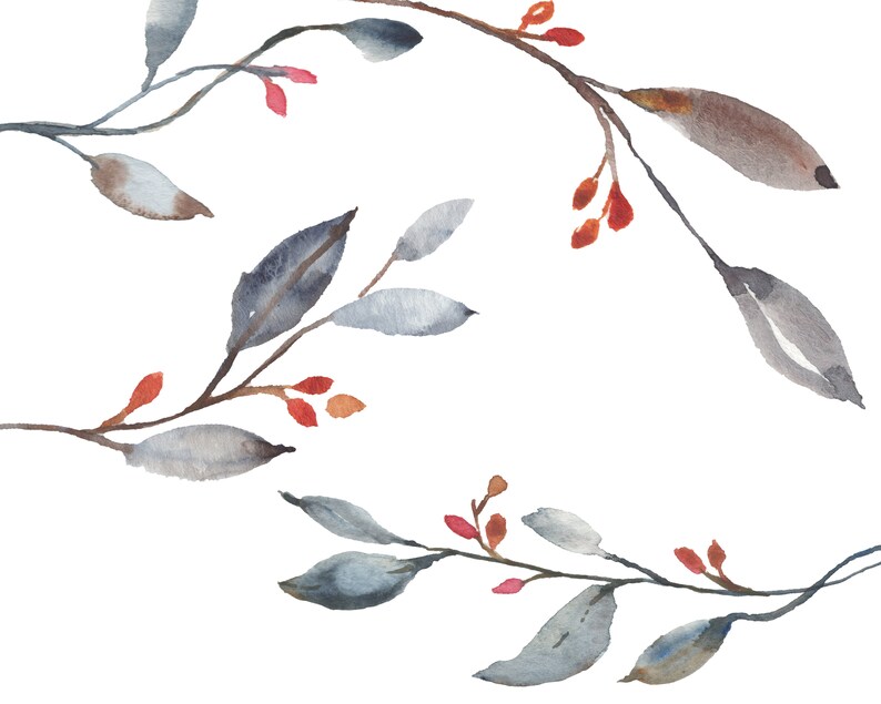 May include: Watercolor painting of a branch with gray leaves and red berries. The branch is painted in a loose, flowing style, with the leaves and berries appearing to be slightly blurred. The background is white.