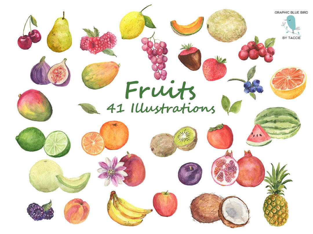 fruit-illustrations-watercolor-clipart-of-fruit-including-melons