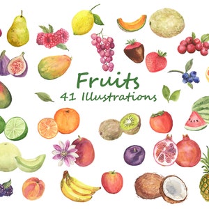 Ilustraciones de frutas, imágenes prediseñadas de acuarela de frutas, incluidos melones, mango, piña, bayas, higos, limas, granada, papaya, melocotón