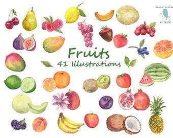 Fruit Illustrations, Watercolor Clipart of Fruit including Melons, Mango, Pineapple, Berries, Figs, Limes, Pomegranate, Papaya, Peach