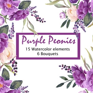 Purple Peonies Hand Painted Floral Clip Art, Purple and Blush Pink Flowers, Watercolor Floral Clipart, 15 Separate Elements and 6 Bouquets
