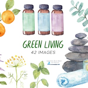 Essential Oils & Aromatherapy Illustrations, Patchouli, Clary Sage, Bergamot, Sandalwood, Balsam, Chamomile, Vetiver, Frankincense, Bottles