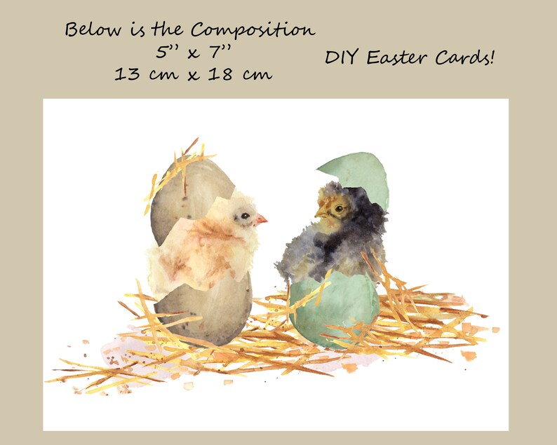 Baby chicks and eggs Five different chicks hand painted watercolor DIY Easter Cards Easter eggs and Easter chicks