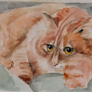 Cat Watercolor Artwork  Cat Original Painting  Cat Wallart Cat Canvas Original Art Vibrant Cat Painting 8 by 12 by NinaPaintingGR