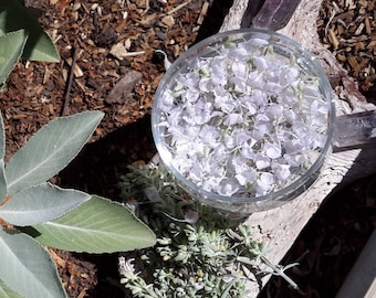 White Sage Flower Essence | Australian + Consciously Grown Plant Medicine. Vibrational Medicine. Flower Remedy 11ml