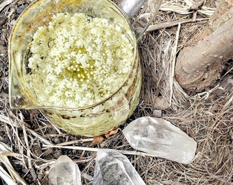 Elder Flower Essence Organic | Ancestral Healing. Vibrational Medicine for Emotional Wellness ~ Astrological Herbalism