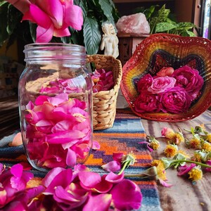 Frankincense + Rose Face Elixir • Slow Infused Botanical & Resin Skincare • Ritual Beauty • Vibrational Healing image 4