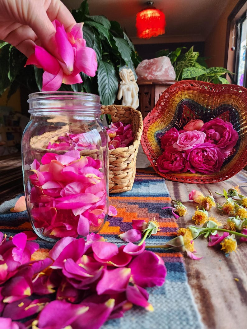 Frankincense + Rose Face Elixir • Slow Infused Botanical & Resin Skincare • Ritual Beauty • Vibrational Healing image 4
