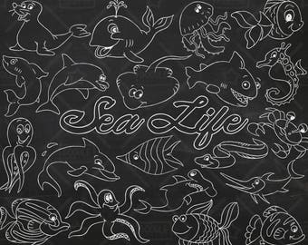 Chalkboard Sea Life Vector Pack, Ocean Clipart, Sea Animals, Aquatic Animals Clipart, Sea Graphics, Marine Life Clipart, SVG, PNG file