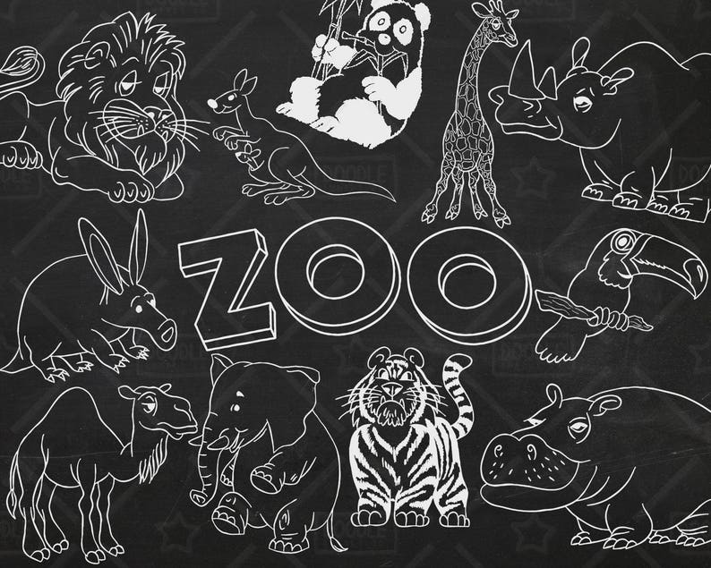 Chalkboard Zoo Animals Vector Pack Cute Animals Tiger Lion - Etsy