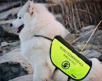 Customized Dog Support Vests for Reactive Dogs - Personalized Warning Vest for Support, Safety - Handmade Dog Vest for Training, Assistance