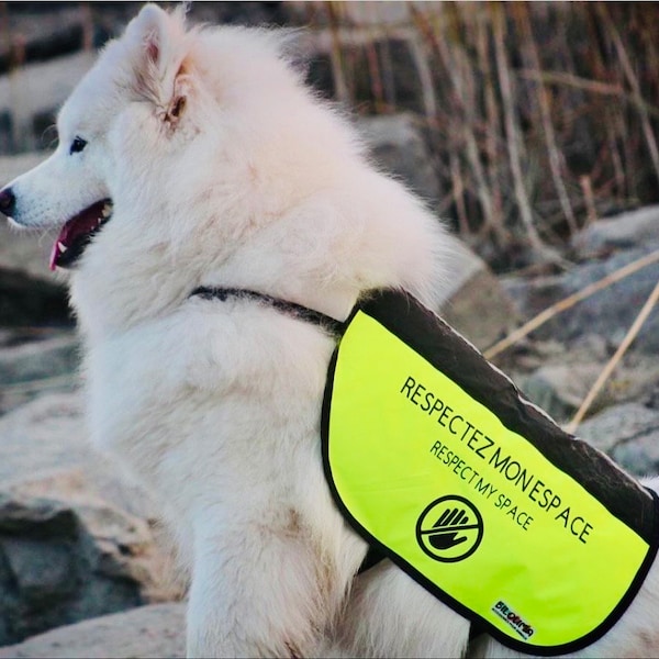 Customized Dog Support Vests for Reactive Dogs - Personalized Warning Vest for Support, Safety - Handmade Dog Vest for Training, Assistance