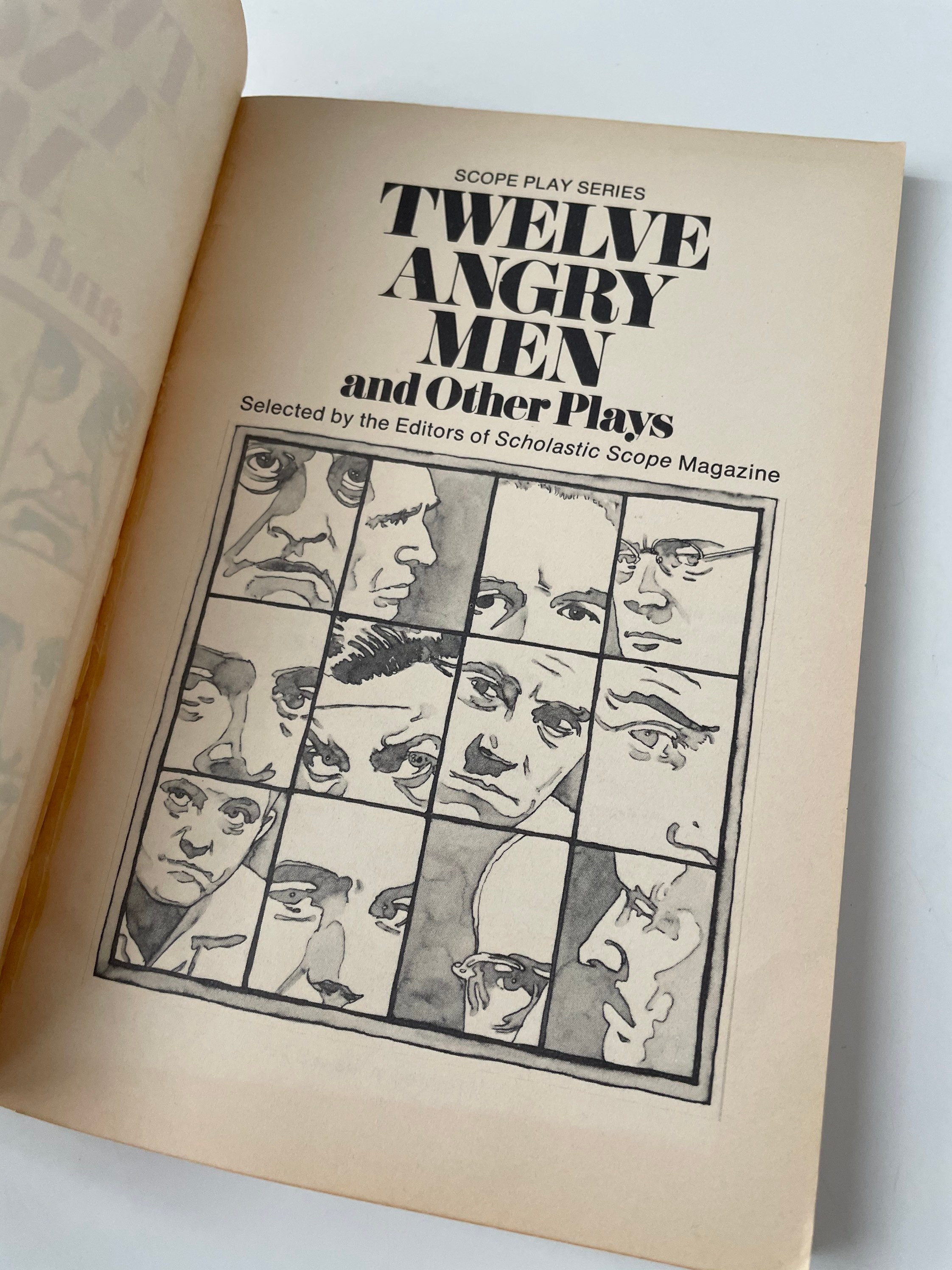 12 angry men book author 12 angry men book author