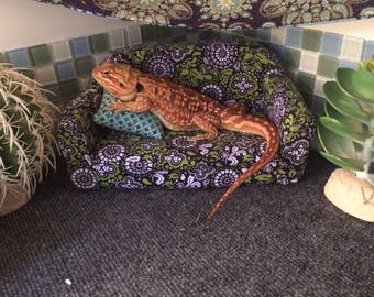 Large Bearded Dragon Couch Etsy