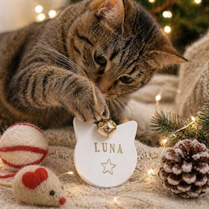 May include: A tabby cat plays with a white cat-shaped tag that says "LUNA" with a star. A gold bell hangs from the tag. Other items include a yarn ball, a knitted mouse toy with a heart, and a pinecone. The scene is festive with Christmas lights.