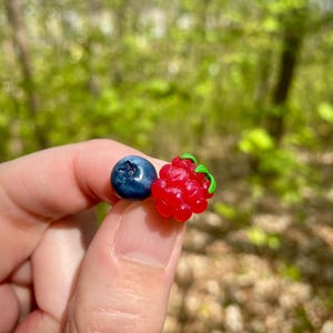 Könnte beinhalten: Nahaufnahme einer einzelnen Blaubeere und einer einzelnen Himbeere, die in einer Hand gehalten werden. Die Blaubeere ist dunkelblau und die Himbeere ist leuchtend rot.