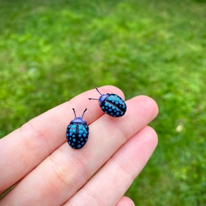 Op de afbeelding: Twee kleine kevervormige oorknopjes met een donkerpaarse en zwarte basiskleur met heldere cyaanblauwe stippen. Elke oorbel heeft twee dunne antennes die uit de kop steken en een afgerond, ovaalvormig lichaam met een gladde afwerking.
