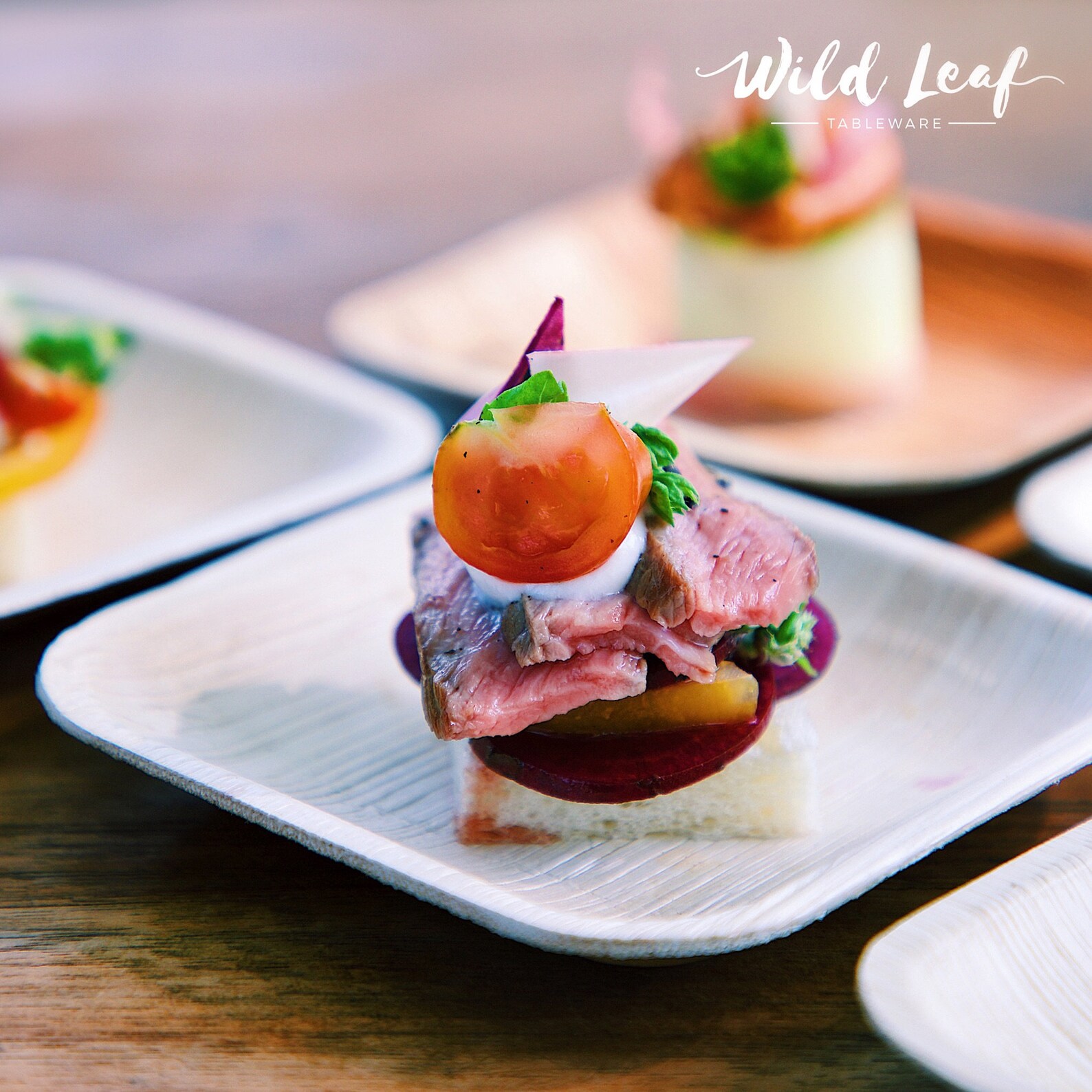 Disposable Mini Canape Plates 25 Pack/ 4. Small Palm Etsy