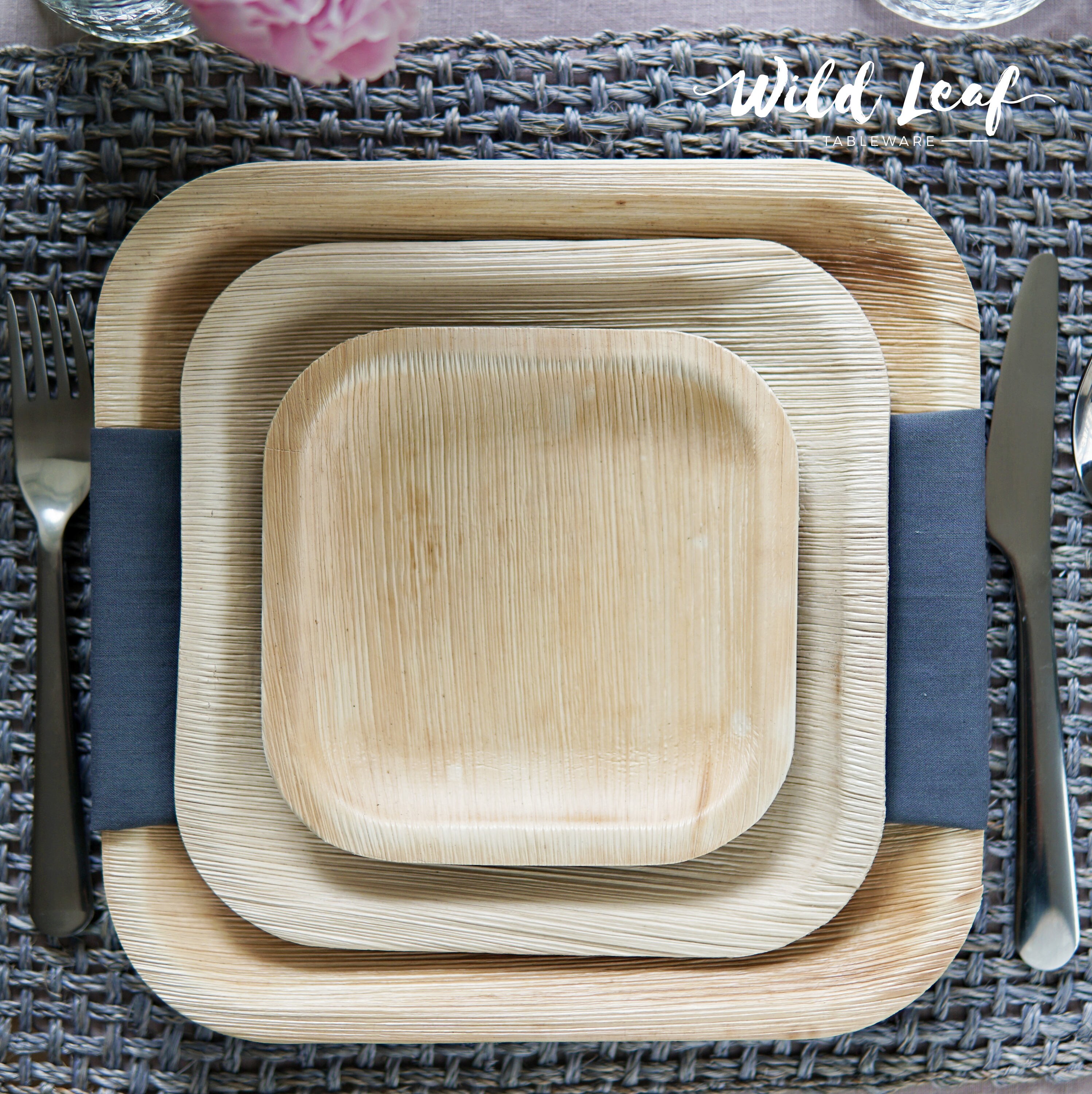 Natural Disposable Palm Leaf Plates 25 Pack / 10. Etsy