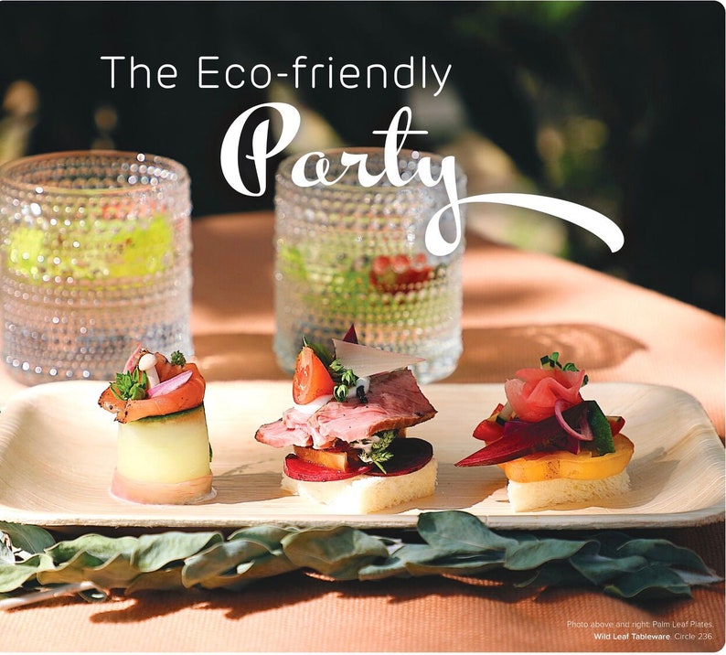 9.5 x 6 Inch / 25 Pack Rectangular Palm Leaf Plates. Natural, Eco-friendly, Compostable, Plastic-Free Disposable Party Pack image 4