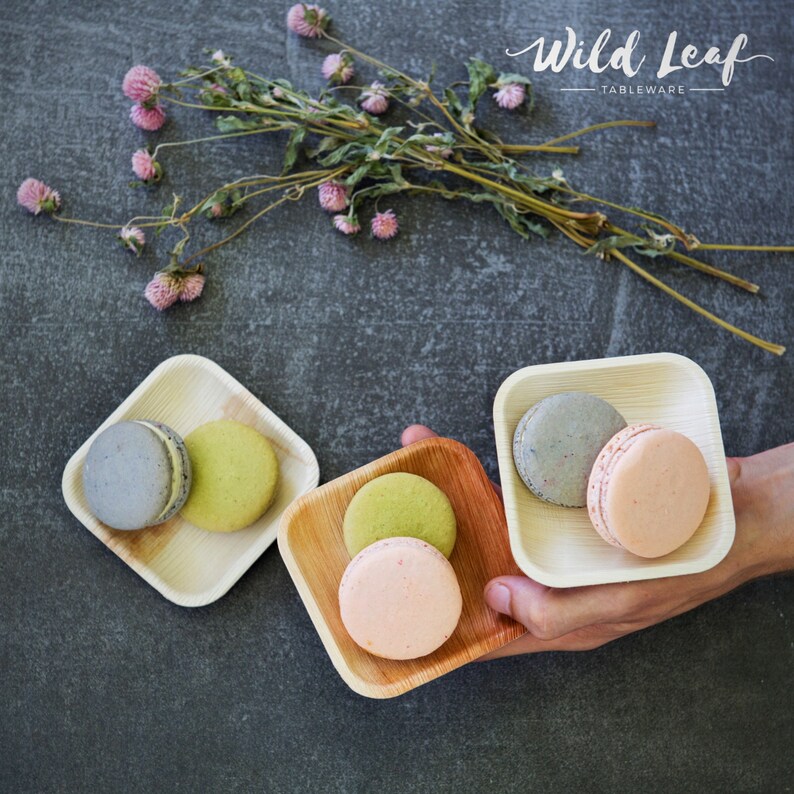 Disposable Mini Canape Plates 25 Pack/ 4. Small Palm Etsy