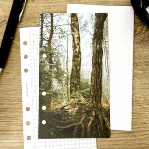 May include: A rectangular planner insert featuring a vertical photograph of two tree trunks in a forest with mossy roots and ferns. The paper has six punched holes along the left edge and the text sortstuff.out.co.uk printed vertically near the holes.