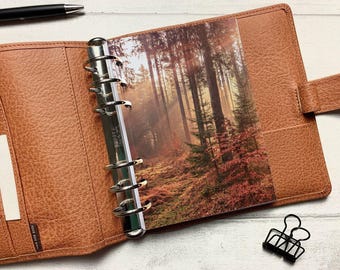 Autumn Sunlight Dashboard  - Fits A5, B6, Personal Wide, Personal, A6, Pocket, Mini Ring Planners. Protective Cover.