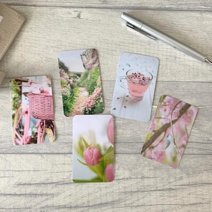 Journal Karten - Spring Pinks Set - 5er Pack für Planer Deco - Verwendung als Lesezeichen, Dekoration - Clip und Kartenhalter Optionen