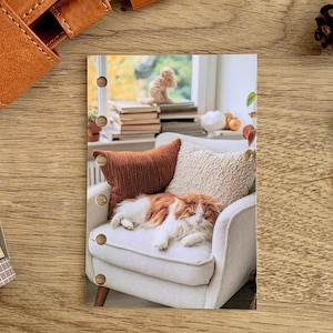 Cómodo tablero de mandos para gatos: compatible con agendas A5, B6, Personal Wide, Personal, A6, de bolsillo y minianillas. Funda protectora.
