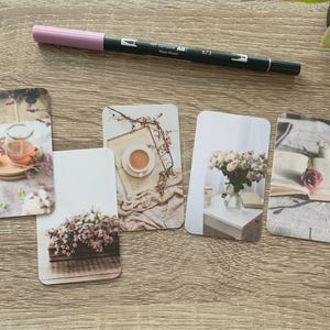 Cartões de diário - Conjunto floral vintage - Pacote com 5 para decoração de planejador - Use como marcadores de página, decoração - Opções de clipe e porta-cartões