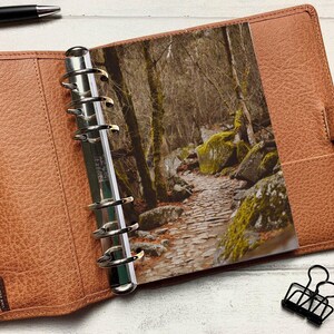 Autumn Moss Path Dashboard - Fits A5, B6, Personal Wide, Personal, A6, Pocket, Mini Ring Planners. Protective Cover.