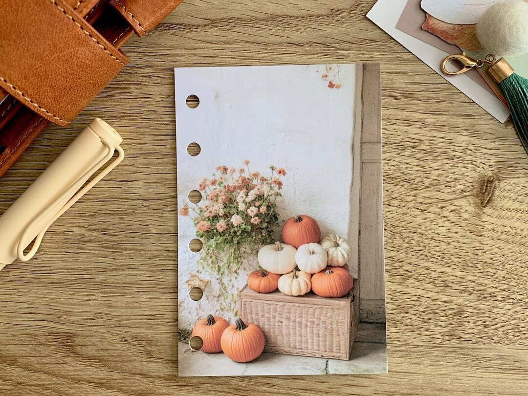 Pumpkin Basket - Autumn Fall - Dashboard - Fits A5, B6, Personal Wide ...