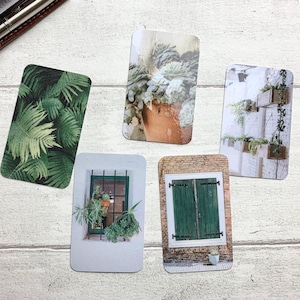 Tarjetas de diario - Set verde verano - Paquete de 5 para decorar tu agenda - Úsalas como marcapáginas o decoración - Opciones con clip y portatarjetas