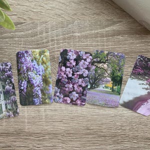 Cartões de diário - Conjunto roxo - Pacote com 5 para decoração de planejador - Use como marcadores de página, decoração - Opções de clipe e porta-cartões