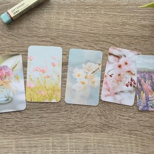 Tarjetas de diario - Set de flores de primavera - Paquete de 5 para decorar tu agenda - Úsalas como marcapáginas o decoración - Opciones con clip y portatarjetas