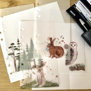 May include: A collection of translucent planner inserts featuring watercolour illustrations of a brown rabbit, a standing rabbit in grass, a barn owl on a branch, and a forest of pine trees, all with punched holes along the left side for binding.