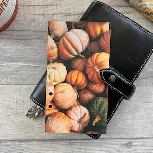 Pompoenoogst - herfst herfstdashboard - past op A5, B6, Personal Wide, Personal, A6, zak, miniringplanners. Beschermhoes.