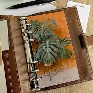 Monstera im Topf Dashboard - passend für A5, B6, Personal Wide, Personal, A6, Pocket, Mini Ring Planner. Schutzhülle.