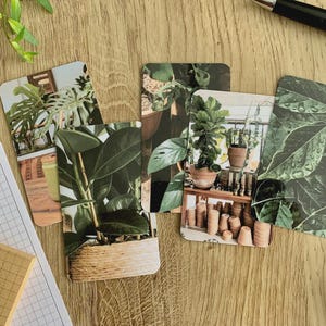 Tarjetas de diario - Plantas relajantes de interior - Paquete de 5 para decorar tu agenda - Úsalas como marcapáginas o decoración - Opciones con clip y portatarjetas