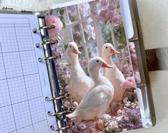 Spring Ducks Dashboard - Choose Your Size - Ring or Disc Planners - Combined Postage Available