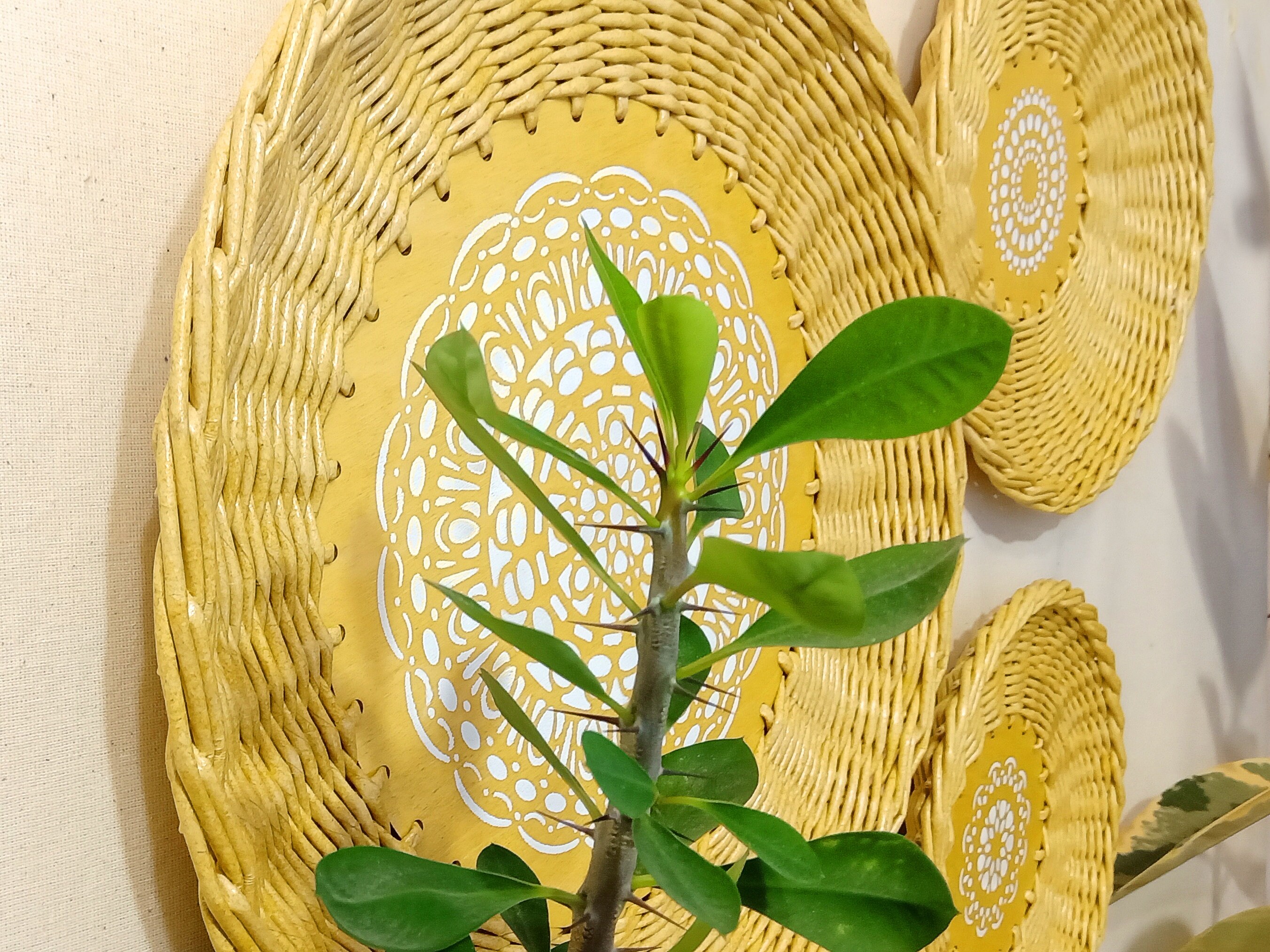 Wall basket set of 3 Wicker wall basket Floral woven basket Etsy