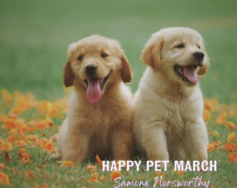 HAPPY PET Background Music Digital File