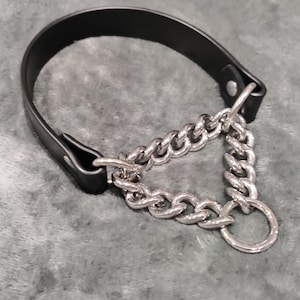 Stainless Steel Martingale Collar: Vegan Friendly, No Buckle, Hypoallergenic