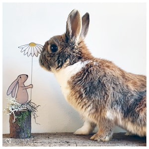 May include: A brown and white rabbit with a white patch on its chest is sniffing a white daisy with a yellow center. The daisy is attached to a stick and is standing upright. The rabbit is standing on a wooden surface.