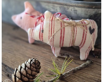 Pig Enna ITH