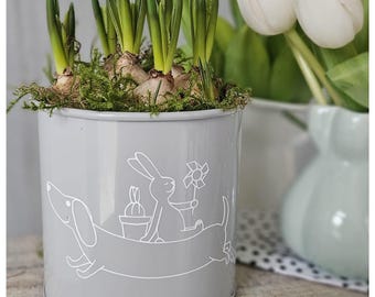 Fichier de scénario Spring Walter